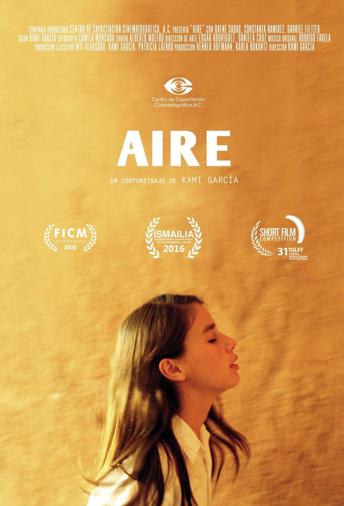 Air (2015) movie poster