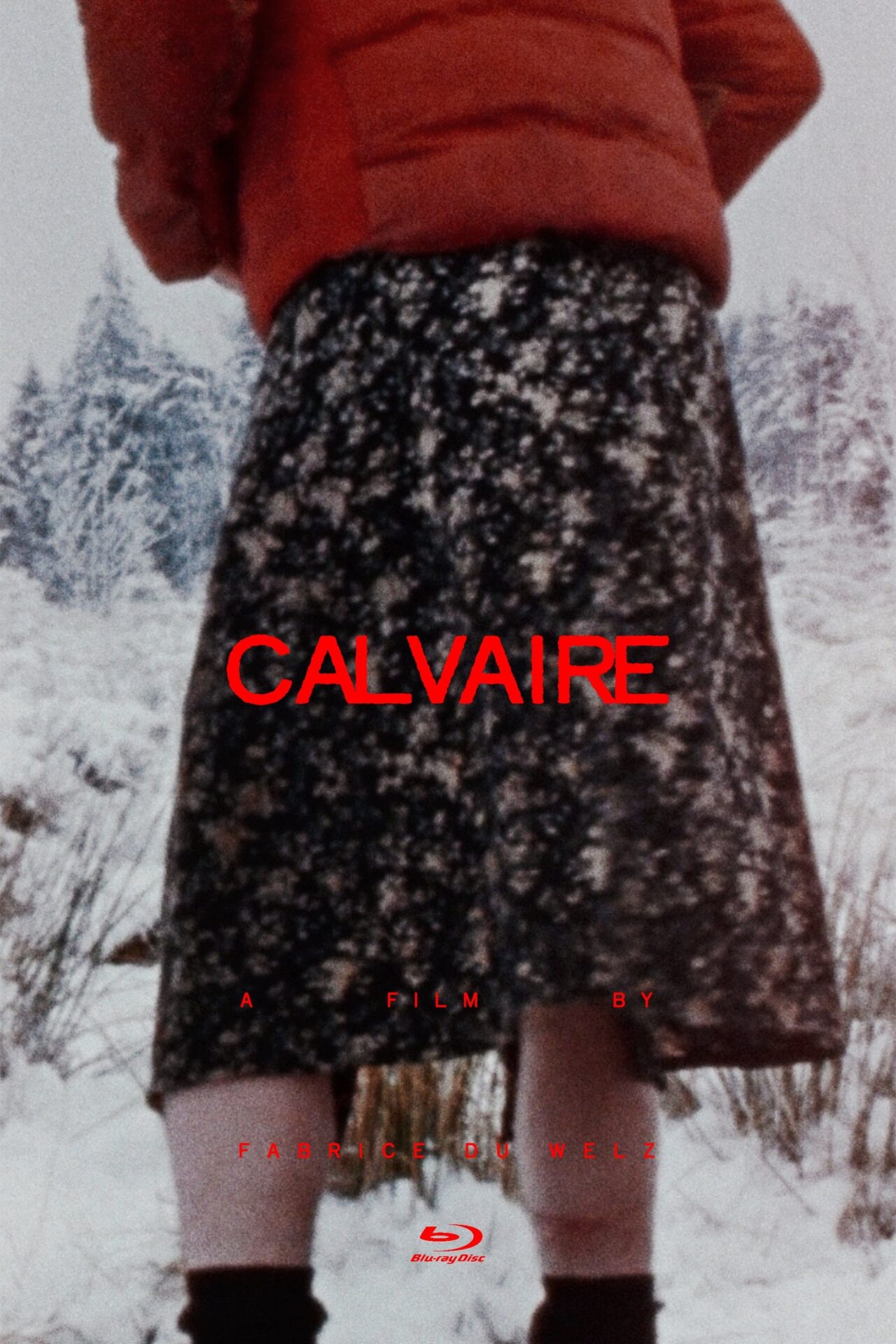 Calvaire (2004) movie poster