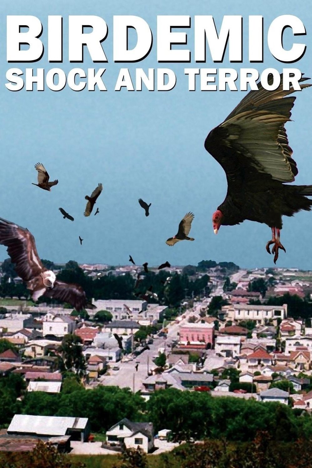 Birdemic : Shock And Terror movie poster