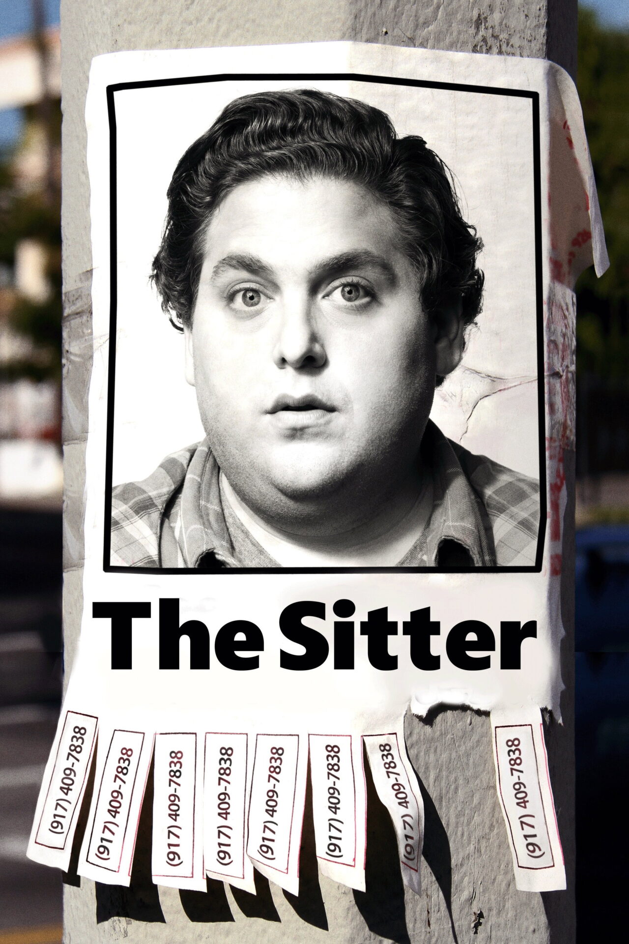 The Sitter (2011) movie poster
