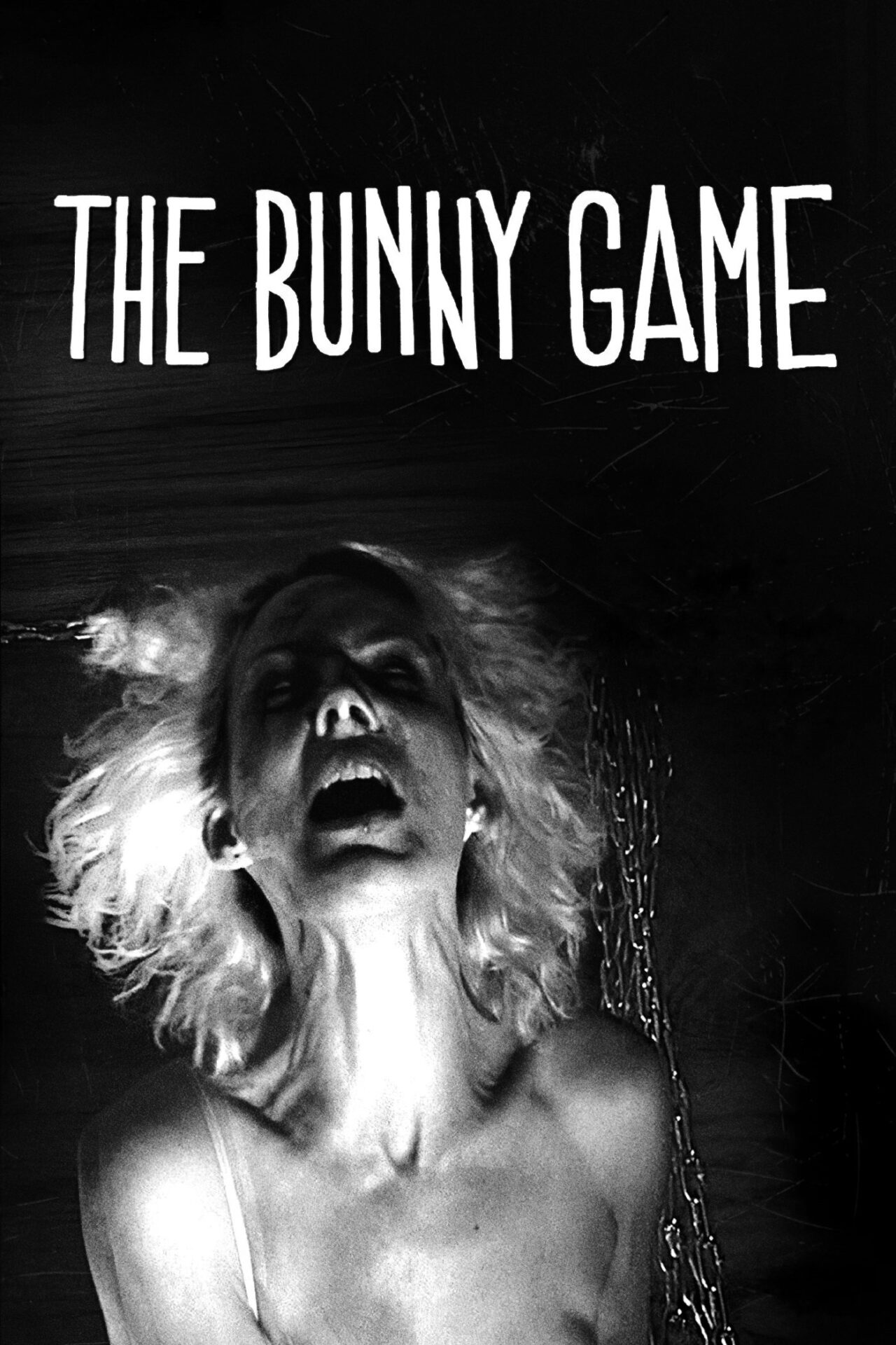 The Bunny Game (2011) movie poster