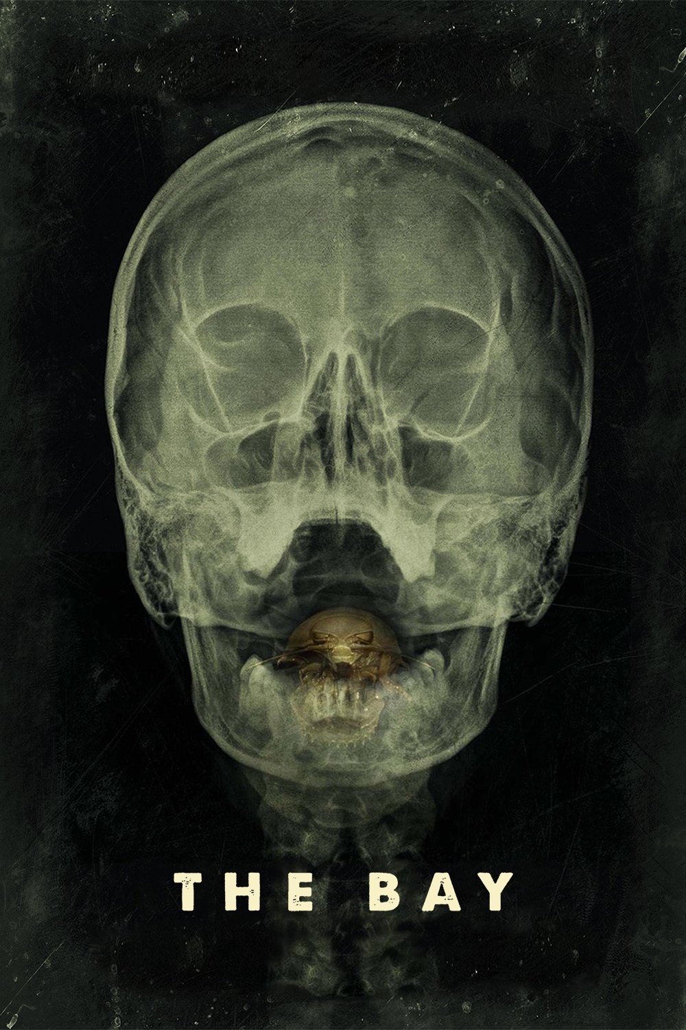 The Bay (2012) movie poster