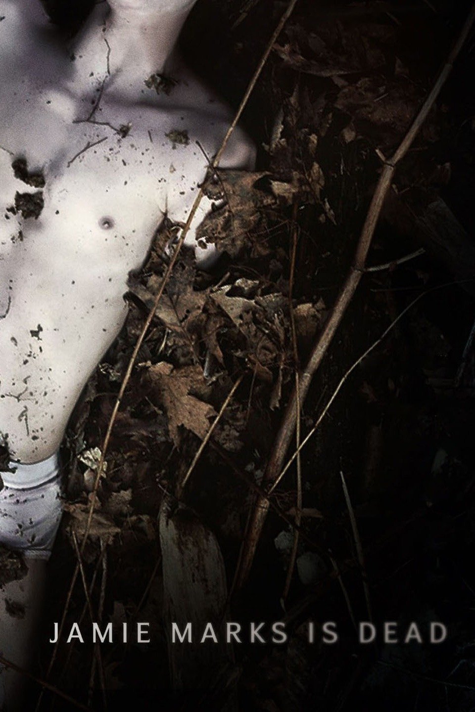 Jamie Marks Is Dead (2014) movie poster