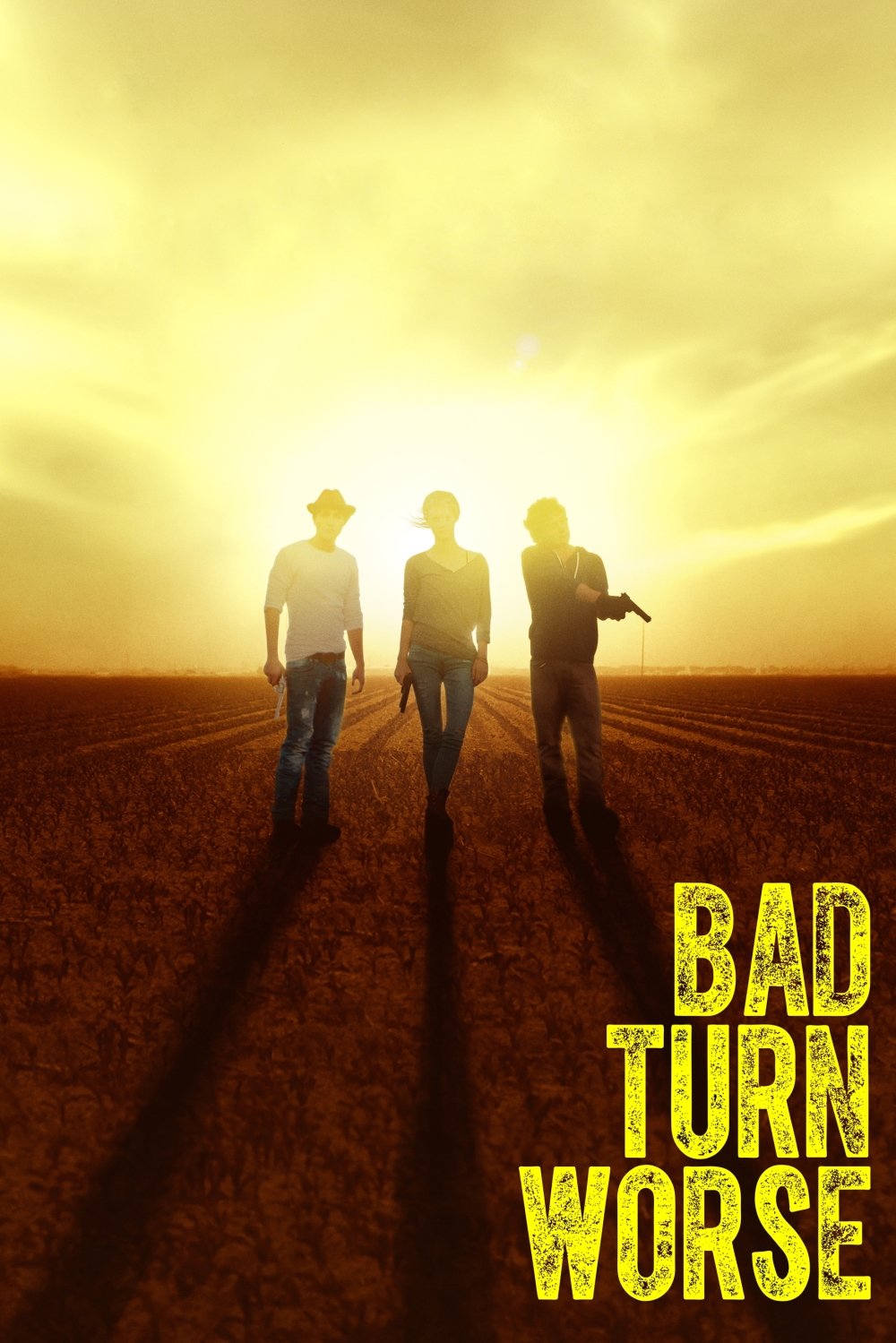 Bad Turn Worse (2013) movie poster